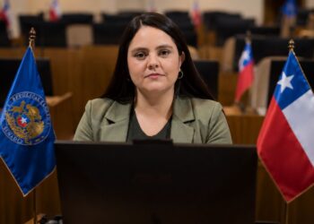 Diputada Sara Concha exige esclarecer situación de niños haitianos ingresados bajo reunificación familiar y anuncia apoyo a comisión investigadora.