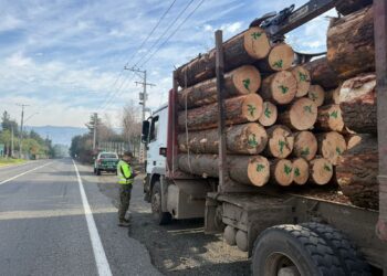Fiscalización de Carabineros permite detener a conductor con inhabilidad permanente para conducir en San Fabián.