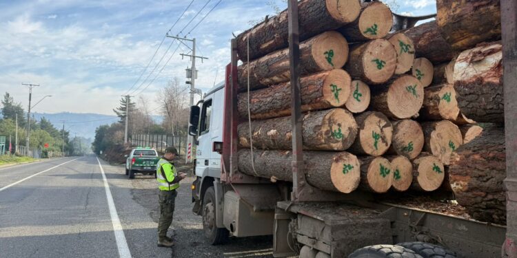 Fiscalización de Carabineros permite detener a conductor con inhabilidad permanente para conducir en San Fabián.