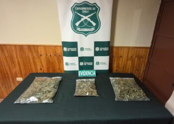 Carabineros de OS7 Ñuble detuvo a sujeto por tráfico de drogas e incautó más de 1.200 dosis de marihuana en Bulnes.