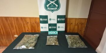 Carabineros de OS7 Ñuble detuvo a sujeto por tráfico de drogas e incautó más de 1.200 dosis de marihuana en Bulnes.