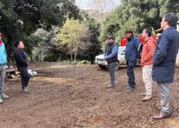 Autoridades de gobierno se despliegan en la precordillera de Coihueco y coordinan apoyo en conectividad y acceso escolar a comunidades aisladas.