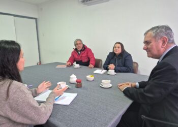 ¿Como podría pasar locomoción colectiva de San Carlos por el nuevo hospital regional de Ñuble?