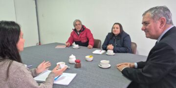 ¿Como podría pasar locomoción colectiva de San Carlos por el nuevo hospital regional de Ñuble?