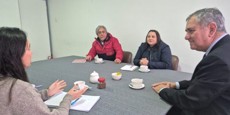 ¿Como podría pasar locomoción colectiva de San Carlos por el nuevo hospital regional de Ñuble?