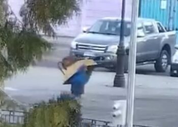 Se robó una carretilla y se paseaba con ella, por plena Plaza de Armas. (ver video).