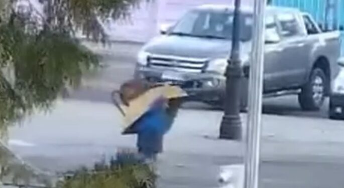 Se robó una carretilla y se paseaba con ella, por plena Plaza de Armas. (ver video).