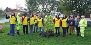 Programa Quiero Mi Barrio impulsa recuperación de áreas verdes con más de 300 árboles en Rucapequén.