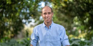Roban especies desde un predio de propiedad del  Ministro Arrau.