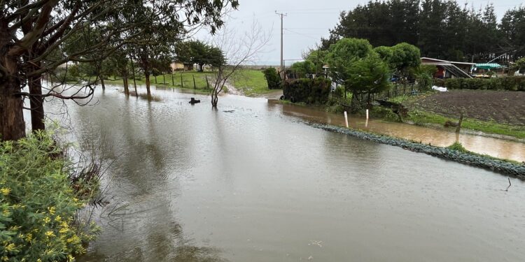 AHORA BALANCE EN ÑUBLE ☔️ Sistema frontal deja anegamientos, cortes de energía, socavones en Provincia del Itata.
