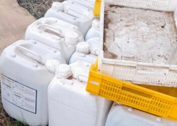 Se robaron insumos agrícolas desde galpón en Coihueco