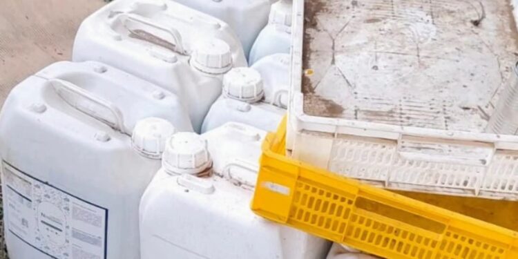 Se robaron insumos agrícolas desde galpón en Coihueco