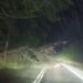 ÚLTIMO MINUTO por FRENTE DE MAL TIEMPO ☔️ CAÍDA DE ÁRBOL 🌳 EN ÑUBLE.