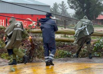 TEMPORAL EN ÑUBLE 🌧 Ruta N-40 permanece cortada por caída de árboles en Quirihue