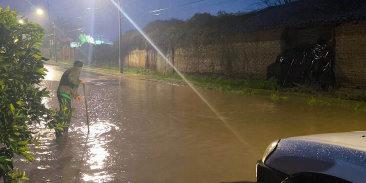 Emergencia en Ninhue a esta hora de domingo.