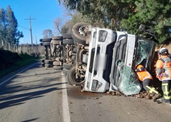 Accidente de tránsito en Pemuco: camión cargado con remolacha volcó en la Ruta N-59.