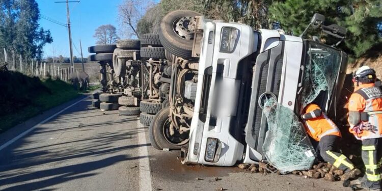 Accidente de tránsito en Pemuco: camión cargado con remolacha volcó en la Ruta N-59.