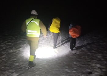 Dos personas se encuentran con un Puma en la cordillera de Ñuble y solicitan ayuda.