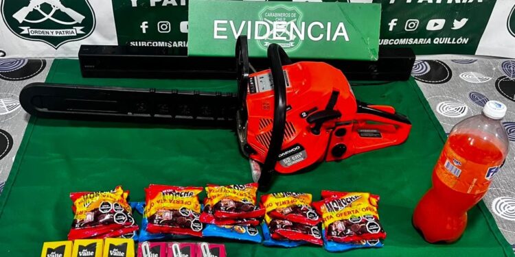 Frustran robo en Quillón y recuperan especie sustraída.