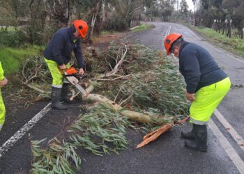TEMPORAL EN ÑUBLE 👀 SENAPRED DECLARA ALERTA AMARILLA PARA LA REGIÓN DE ÑUBLE POR EVENTO METEOROLÓGICO