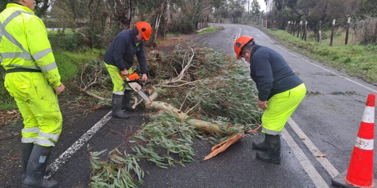 TEMPORAL EN ÑUBLE 👀 SENAPRED DECLARA ALERTA AMARILLA PARA LA REGIÓN DE ÑUBLE POR EVENTO METEOROLÓGICO