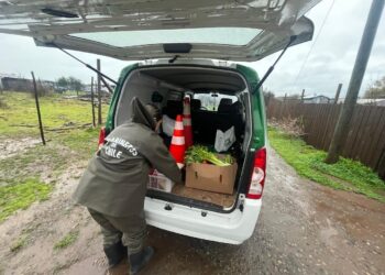 ESTE FRENTE DE MAL TIEMPO TAMBIÉN VIENE CON UN GESTO DE SOLIDARIDAD 🌧 CARABINEROS DE CHILLÁN VIEJO ACUDE EN AYUDA A DOS PERSONAS ADULTOS MAYORES.