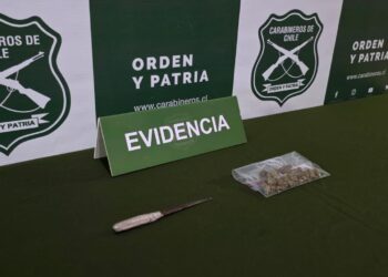 Asaltos, Drogas,  violencias,  y ahora robo.. ya es algo habitual en la Plaza de Armas de Chillán.