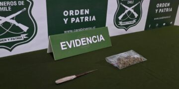 Asaltos, Drogas, violencias, y ahora robo.. ya es algo habitual en la Plaza de Armas de Chillán.