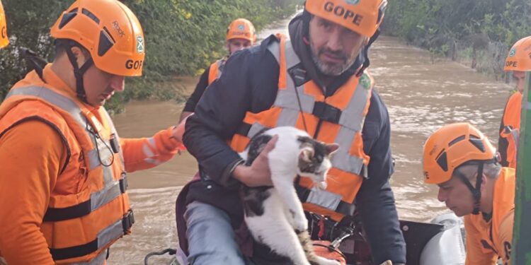 Rescatan a hombre y su mascota que permanecían aislados tras el desborde del río Ñuble en Chillán.