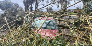 Tipo tornado pasó por la comuna de El Carmen y deja algunos daños.