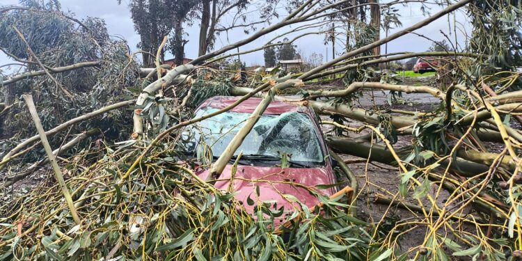 Tipo tornado pasó por la comuna de El Carmen y deja algunos daños.