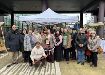 Día Nacional de la Tejedora reunió en San Carlos a cultoras para destacar el patrimonio textil de Ñuble.
